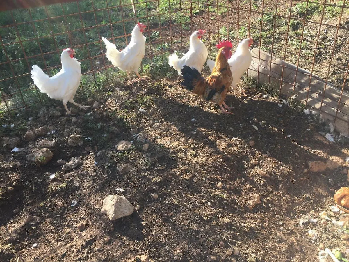 Agriturismo Macole Fattoria Con Spuntini Villa Verona 0*,  Italy
