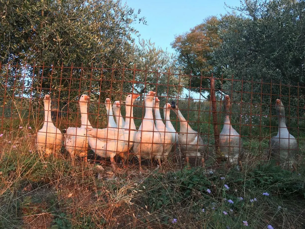 Agriturismo Macole Fattoria Con Spuntini Villa Verona Farm stay