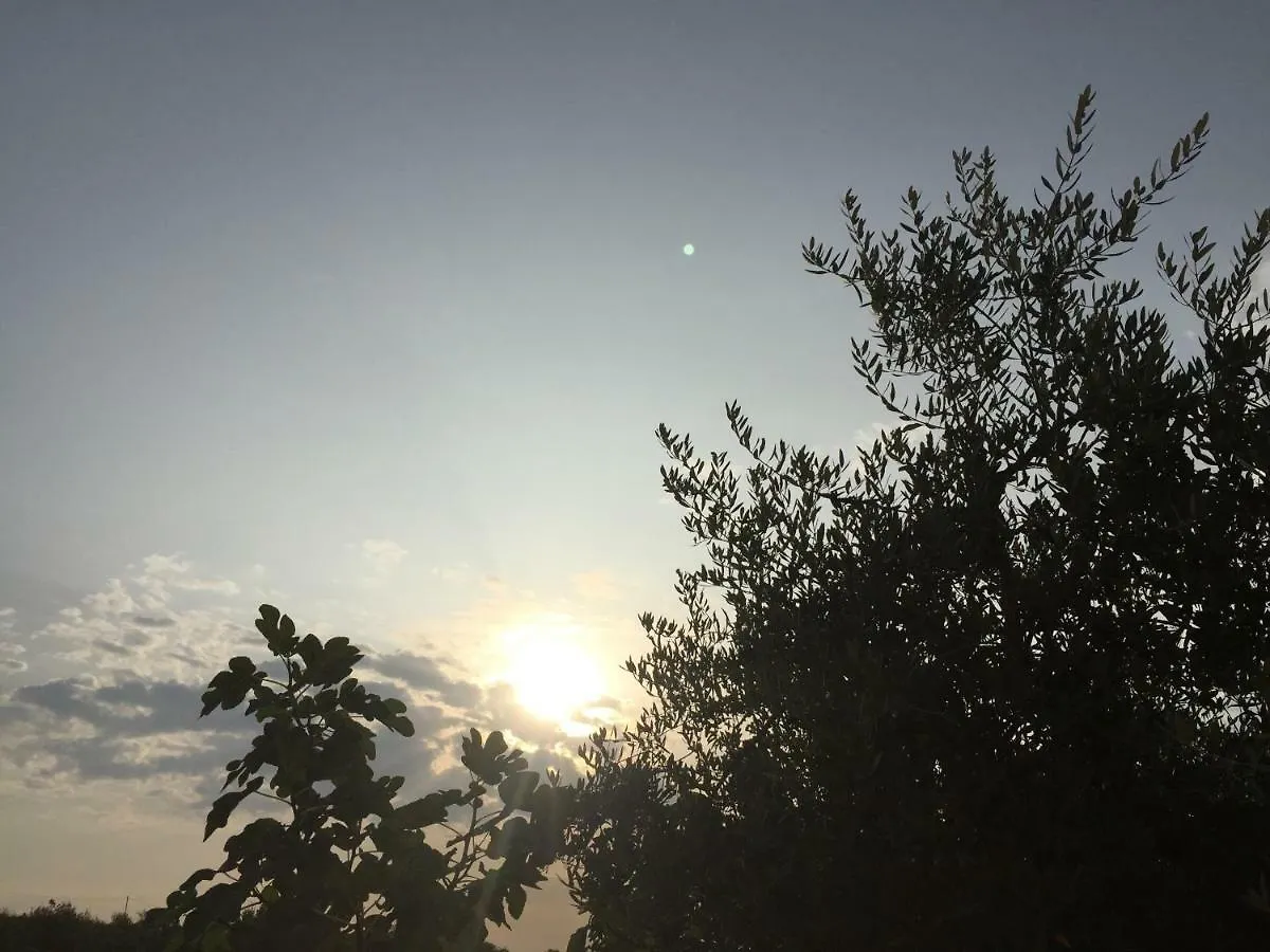Villa Agriturismo Macole Fattoria Con Spuntini Verona Italien