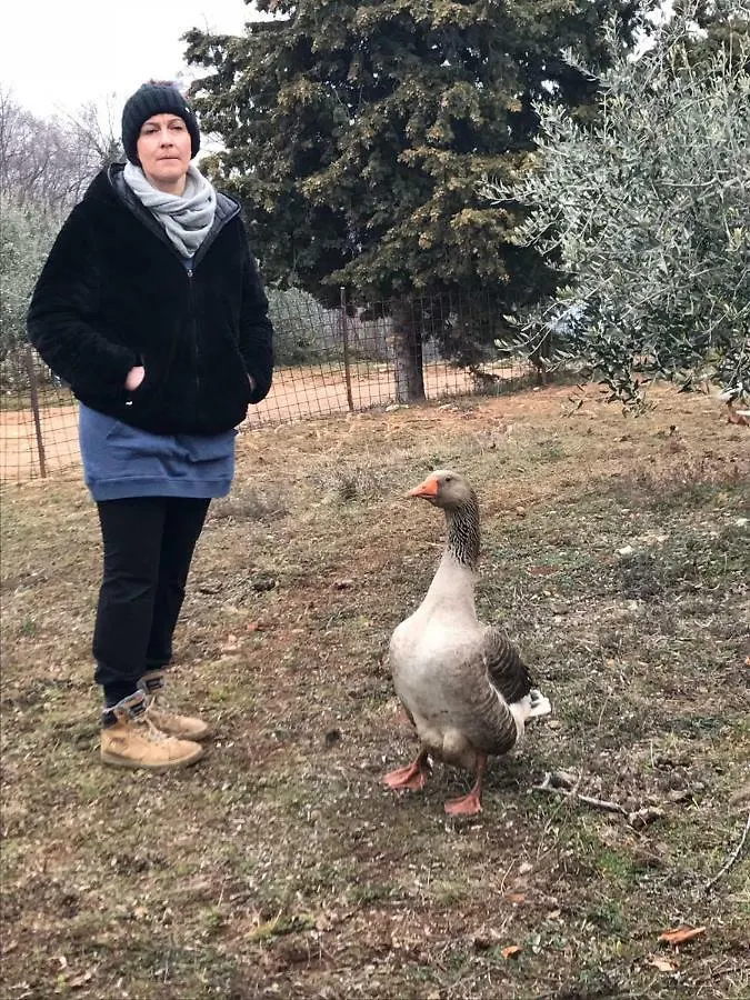 Bauernhof Villa Agriturismo Macole Fattoria Con Spuntini Verona Italien